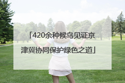 420余种候鸟见证京津冀协同保护绿色之道