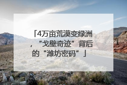 4万亩荒漠变绿洲，“戈壁奇迹”背后的“潍坊密码”
