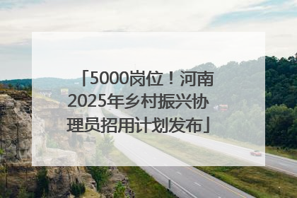 5000岗位！河南2025年乡村振兴协理员招用计划发布