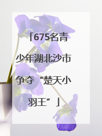 675名青少年湖北沙市争夺“楚天小羽王”