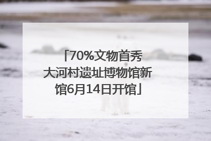 70%文物首秀 大河村遗址博物馆新馆6月14日开馆