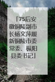 75后安徽铜陵副市长杨文萍履新铜陵市委常委、枞阳县委书记