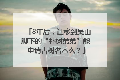 8年后，迁移到吴山脚下的“朴树弟弟”能申请古树名木么？