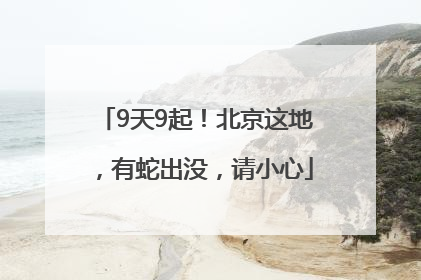 9天9起！北京这地，有蛇出没，请小心