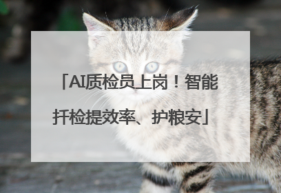 AI质检员上岗！智能扦检提效率、护粮安