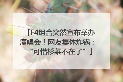 F4组合突然宣布举办演唱会！网友集体炸锅：“可惜杉菜不在了”