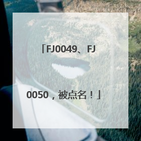 FJ0049、FJ0050，被点名！